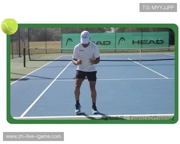 北京网球队的灵活性揭秘:从训练到比赛的全方位探索与分析